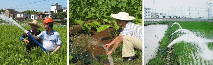 Agricultural Diesel Water Pump Farm Irrigation Use: