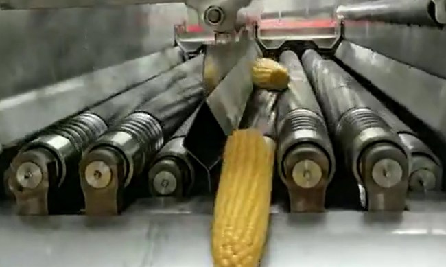 Sweet Corn Bracts Husker Machine Delivery to the U.S.