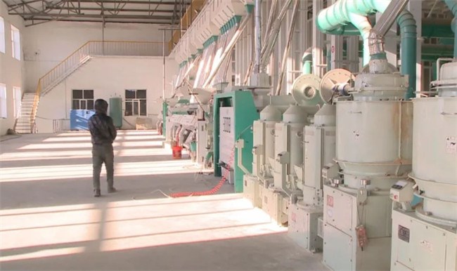 UGOOD Group helps Dalong Rice Industry in building a green and healthy rice brand