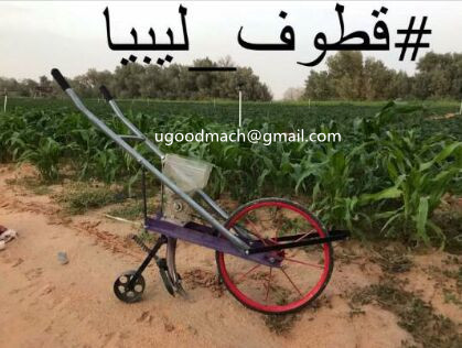 Libya Vegetable Seeds Seeders