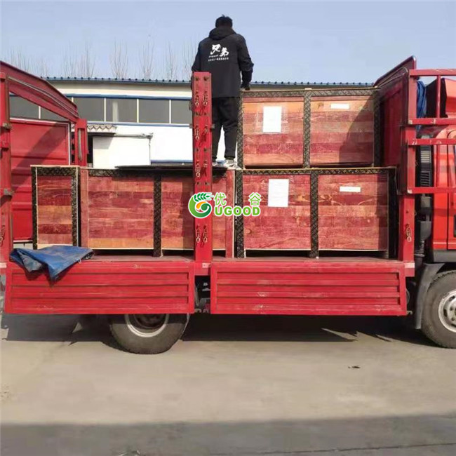 Seeds Sorting Machines Delivery to Gambia, Sierra Leone, Togo, Mozambique, Liberia