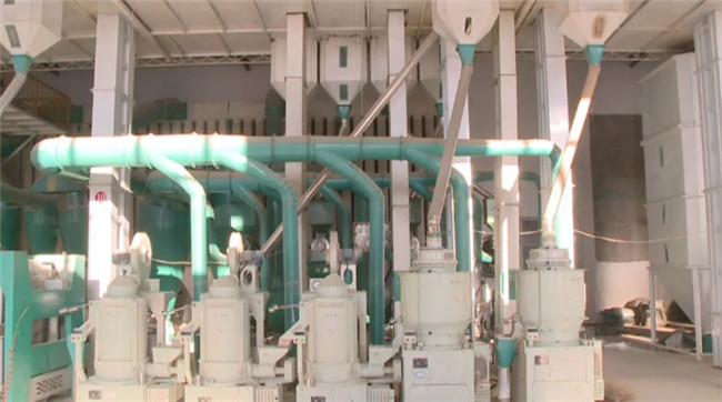 UGOOD Group assists Dalong Rice Industry