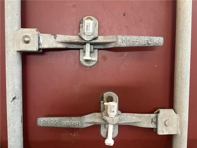 Maize Seeds Coating Processing Plat Exported to Kenya