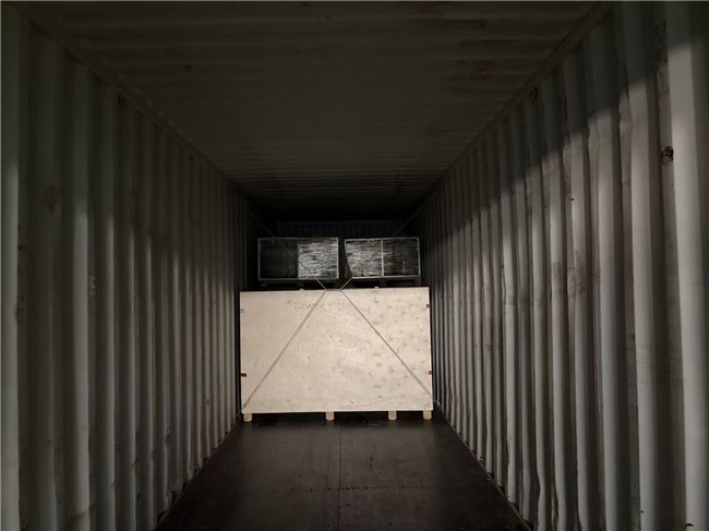 Maize Seeds Coating Processing Plat Exported to Kenya