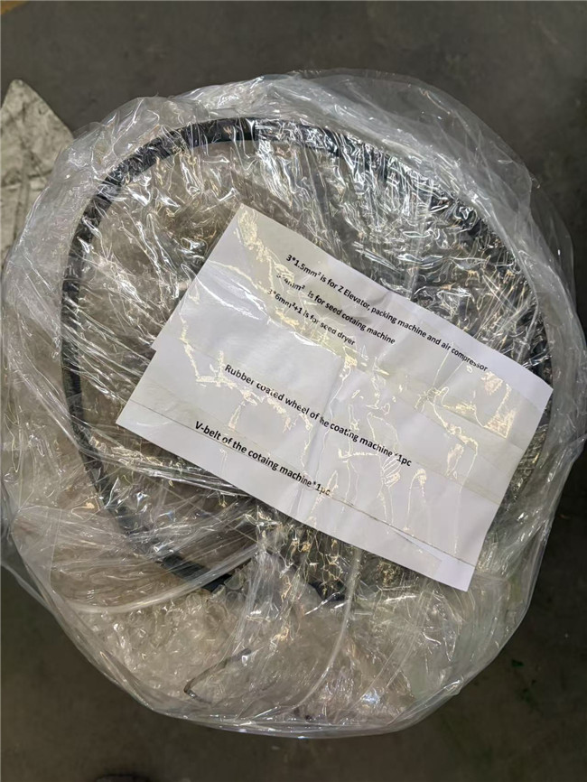 Maize Seeds Coating Processing Plat Exported to Kenya