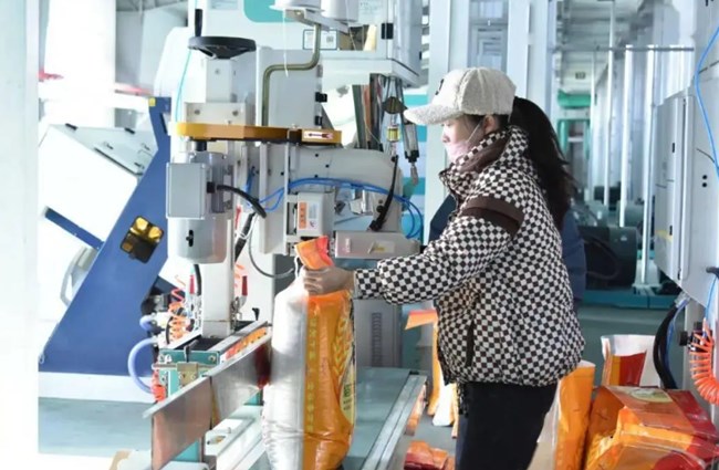 Large Rice Production Line in Jilin Goes into Operation