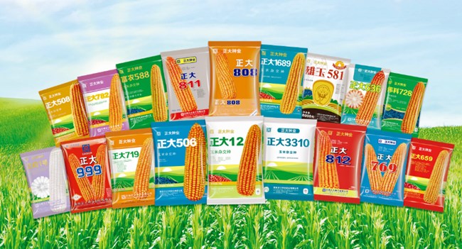 Seeds Maize Thresher Exported to CP Seeds Company