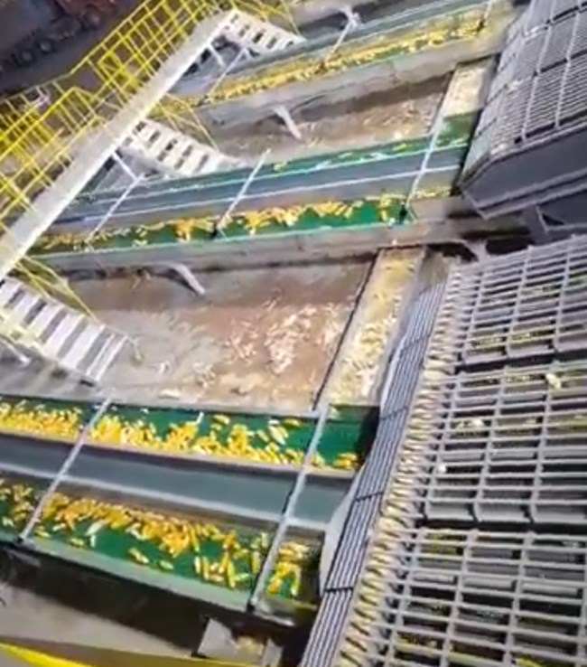 UGOOD Automatic Seeds Corn Ears Processing Plant in Zhangye Gansu