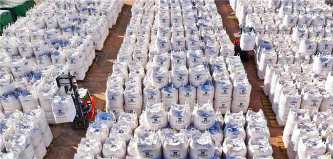UGOOD Automatic Seeds Corn Ears Processing Plant in Zhangye Gansu