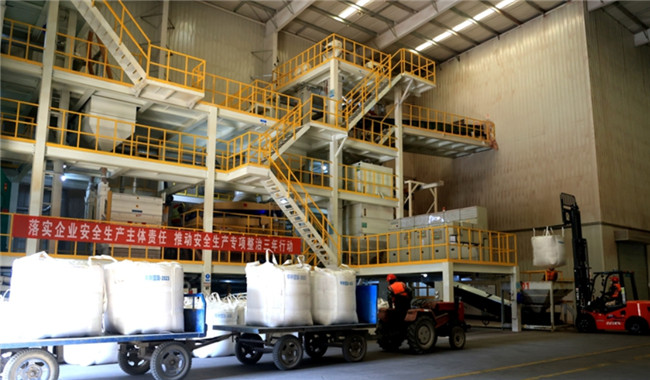Corn Seeds Processing and Bulk Bag Packaging Line Operated in Linze