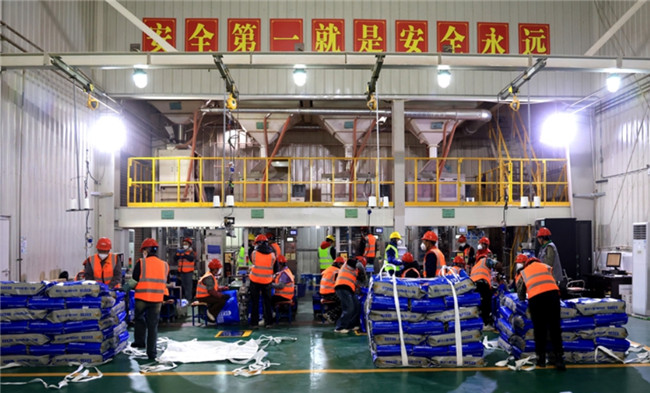 Corn Seeds Processing and Bulk Bag Packaging Line Operated in Linze
