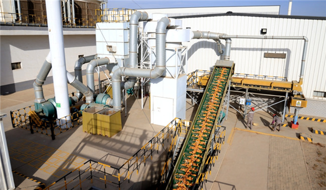 Corn Seeds Processing and Bulk Bag Packaging Line Operated in Linze