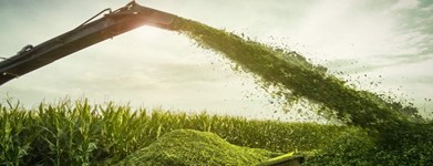 Chaff Cutter 
