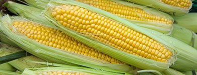 Sweet Corn Bracts Peeling Machine