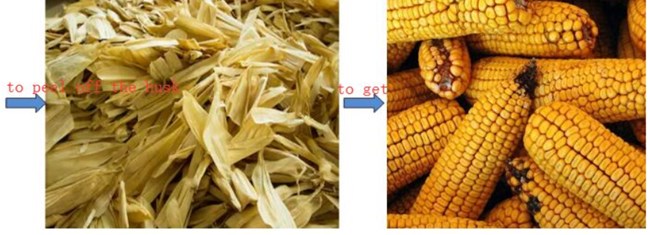 Corn Husking Machine
