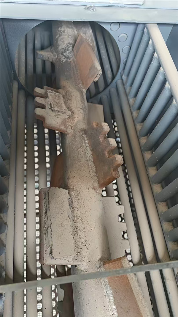 Large Automatic Corn Maize Seeds Thresher for Seeds Company