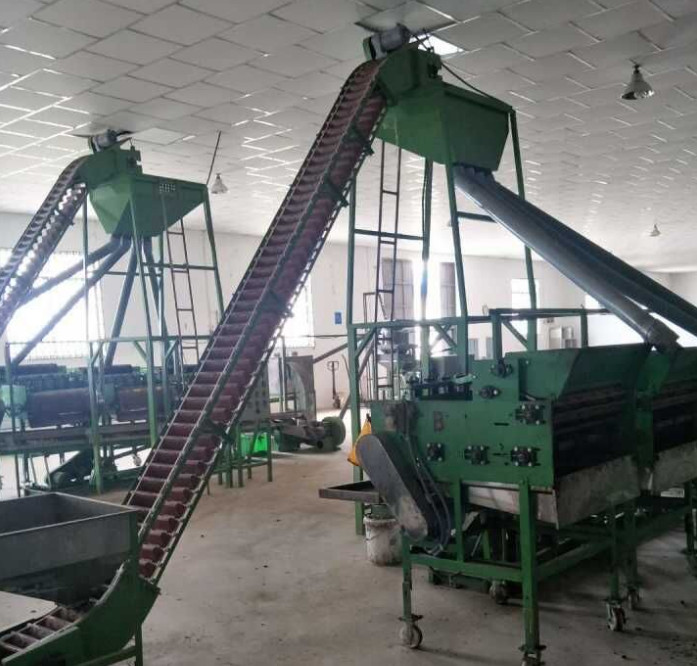 cashew nut hulling proessing line