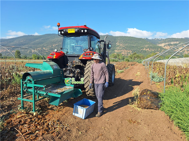 Sunflower Seeds Threshing Machine Thresher