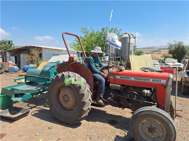 Sunflower Seeds Threshing Machine Thresher