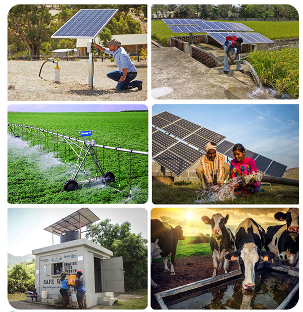 Solar Pump Irrigation System