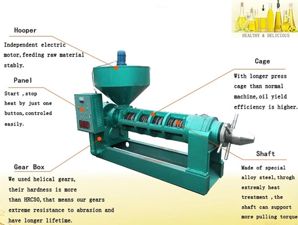 Palm Oil Press Machine Palm Oil Mill