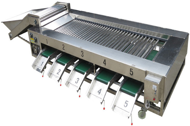 Fruits Vegetables Grading Sorting Machine with Rolling Bars for Dates Fruit