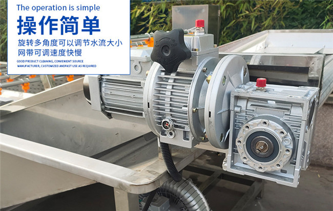 Fruits Vegetables Cleaning Washing Rinsing Machine or Bubble Cleaner