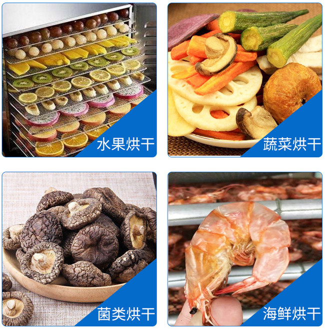 Food Fruits Dryer Drying Room for Mushroom Nuts Meat Sausage Medicine