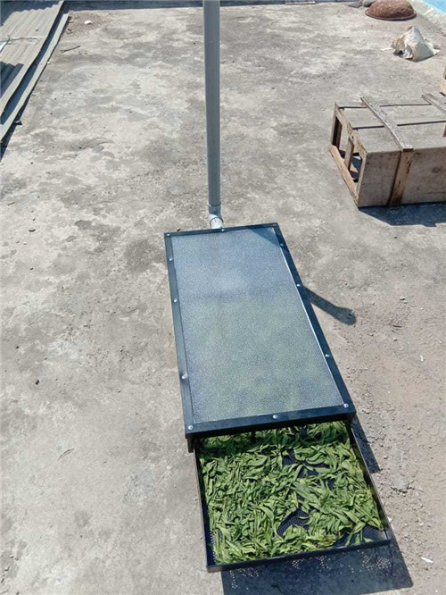 Solar Dryer Drying Machine Direct Heating Stainless Steel for Food