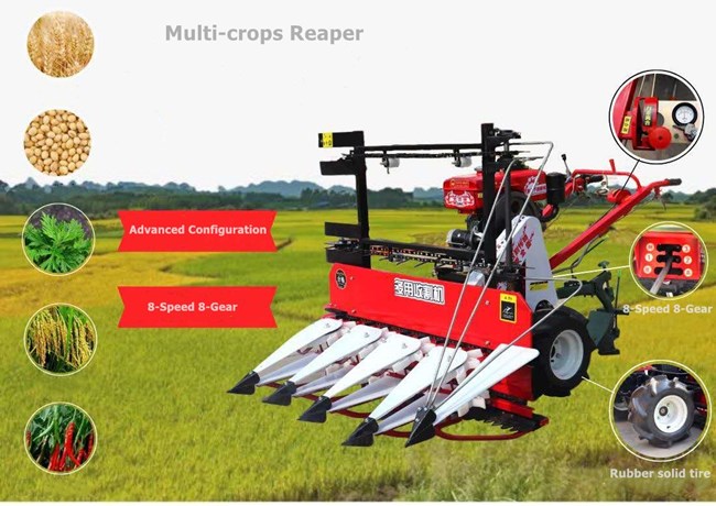 Wheat Paddy Harvester Small Harvesting Machine Reaper Rapeseeds Soybean Pepper Chia Chilli 