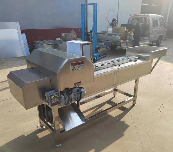 Sweet Fresh Corn Cobs Ends Cutting Machine Removing Cutter