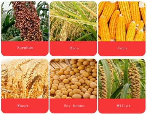 multi grain dryer