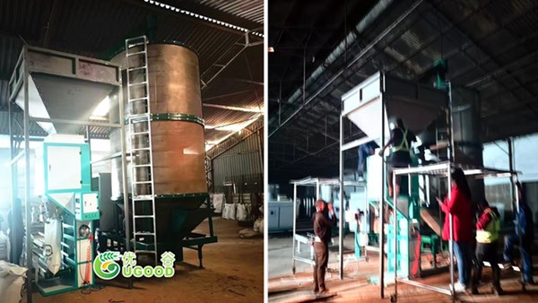25kg 50kg 100kg Weighing Packaging Sewing Machine Grain Corn Granules Particles Powder Quantitative 