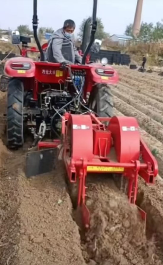 Yam Harvester Yam Tubers Roots Digging Harvesting Sieving