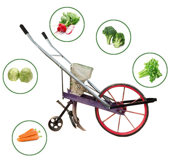 UGS-TTM Millet and Vegetable Seeds Sowing Machine Sesame Seeds Planting Machine Two-Row Seeder